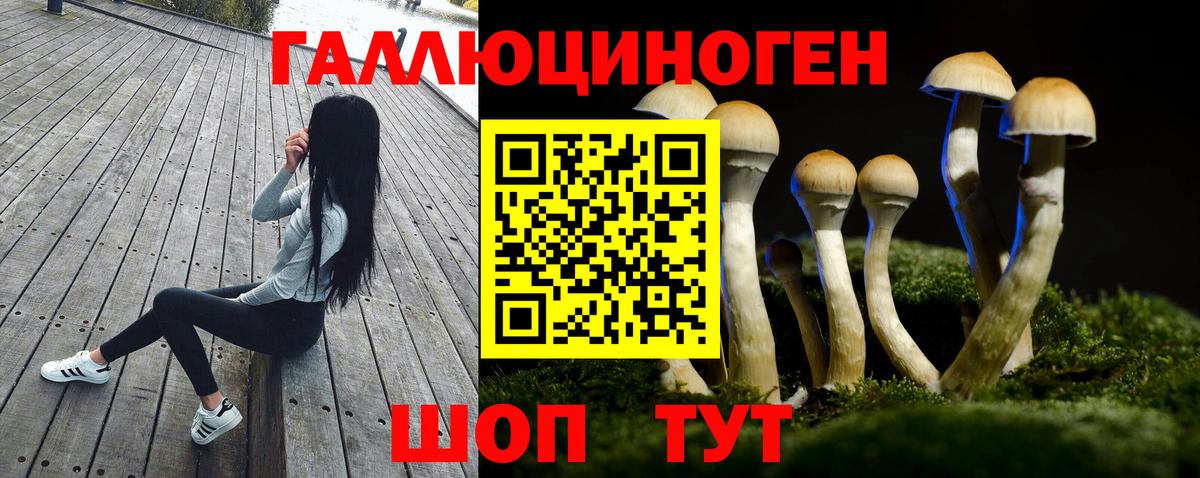магазин продажи   Галлюциногенные грибы мицелий  Вход с VPN  Барнаул 