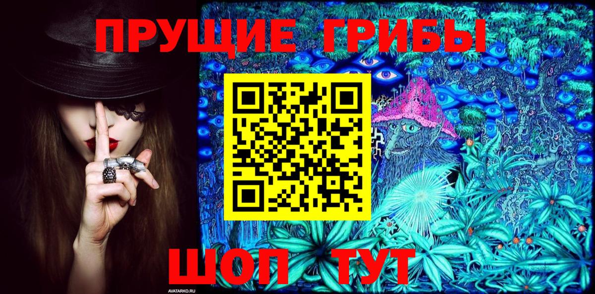 Галлюциногенные грибы Psilocybe Барнаул